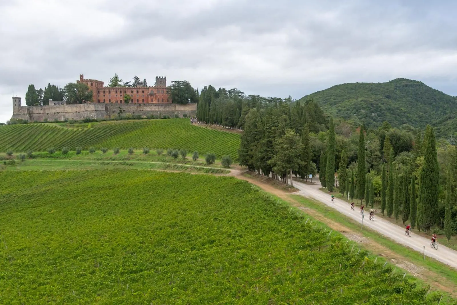 Villa I Quercioli, Siena Chianti Estate, Private Heated Pool, Breathtaking View Castelnuovo Berardenga