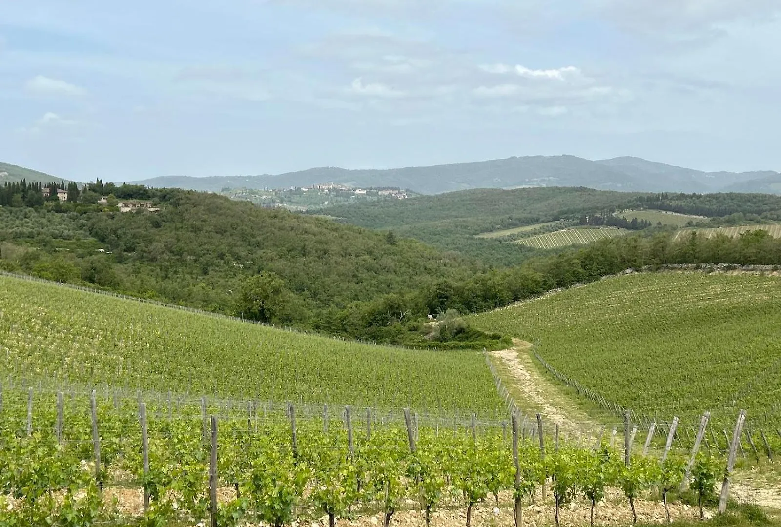 Villa I Quercioli, Siena Chianti Estate, Private Heated Pool, Breathtaking View Castelnuovo Berardenga